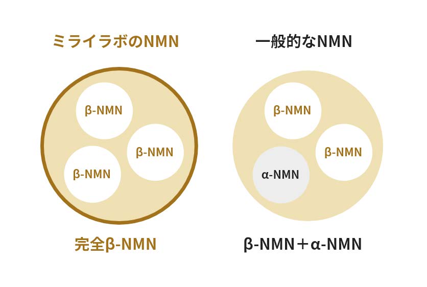 完全β-NMNのみ配合